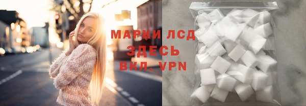 прущие грибы Балабаново