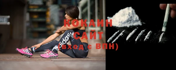 прущие грибы Балабаново