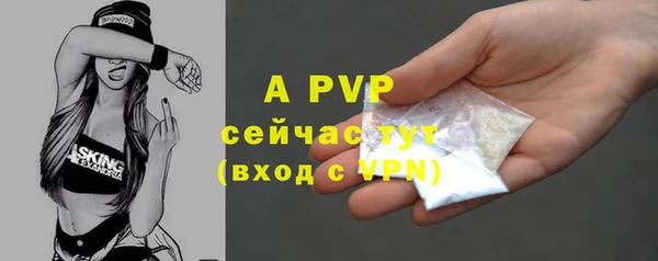 прущие грибы Балабаново