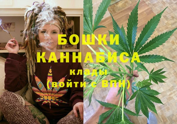 прущие грибы Балабаново