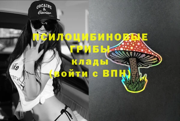 прущие грибы Балабаново