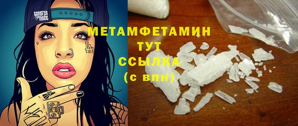 прущие грибы Балабаново