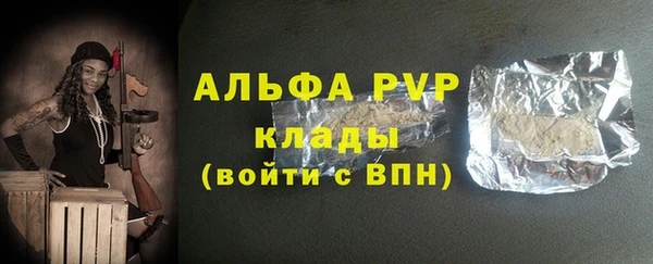 прущие грибы Балабаново