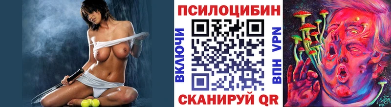 продажа наркотиков  Баксан  Псилоцибиновые грибы Cubensis 