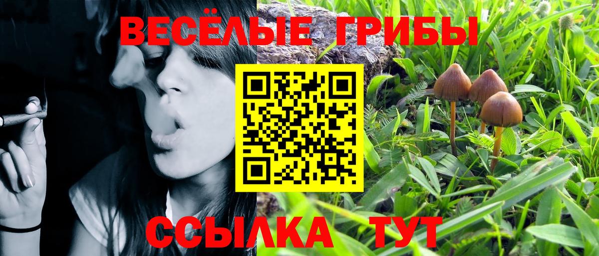 Галлюциногенные грибы прущие грибы  Псилоцибиновые грибы Psilocybine cubensis  Баксан  Вход с VPN 